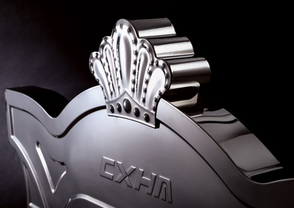 stainless steel retractable gate