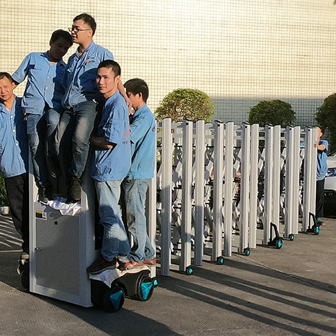 automatic driveway gates